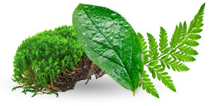 Fulvic Acid Complex Fulvic Acid Complex